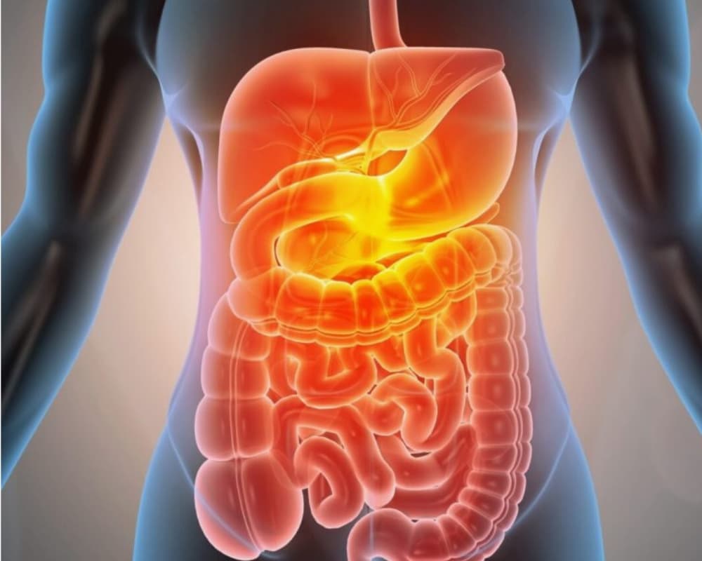 Chirurgie digestive