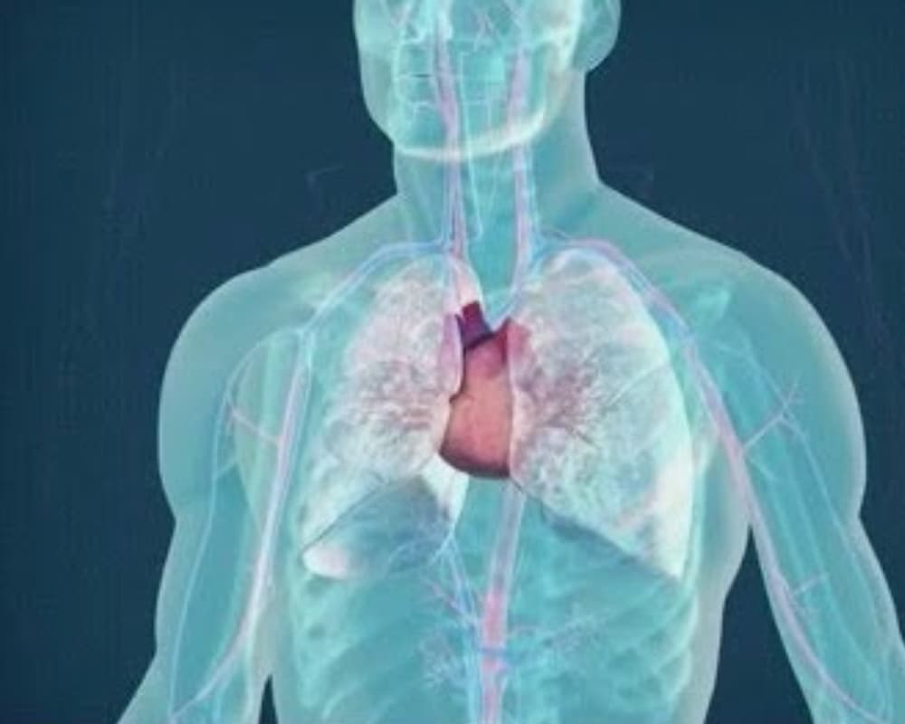 Chirurgie thoracique