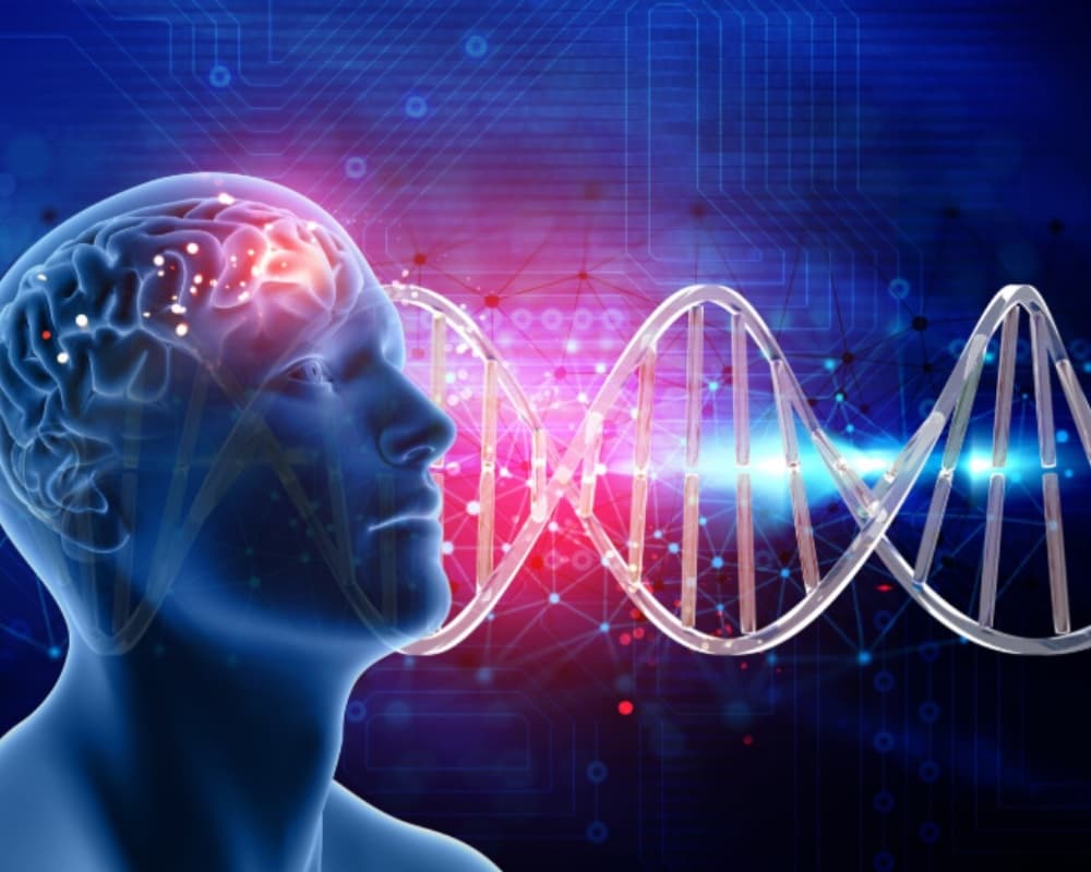Neurologie